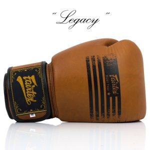 Fairtex BGV21 Legacy Boxing Gloves