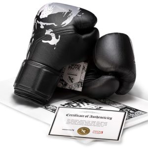Hayabusa - The Punisher Boxing Gloves