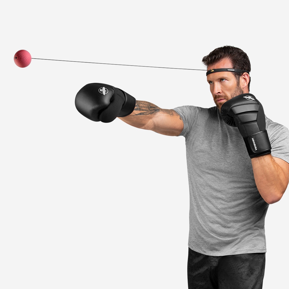 Hayabusa Boxing Reflex Ball Kit – Warrior Fight Store
