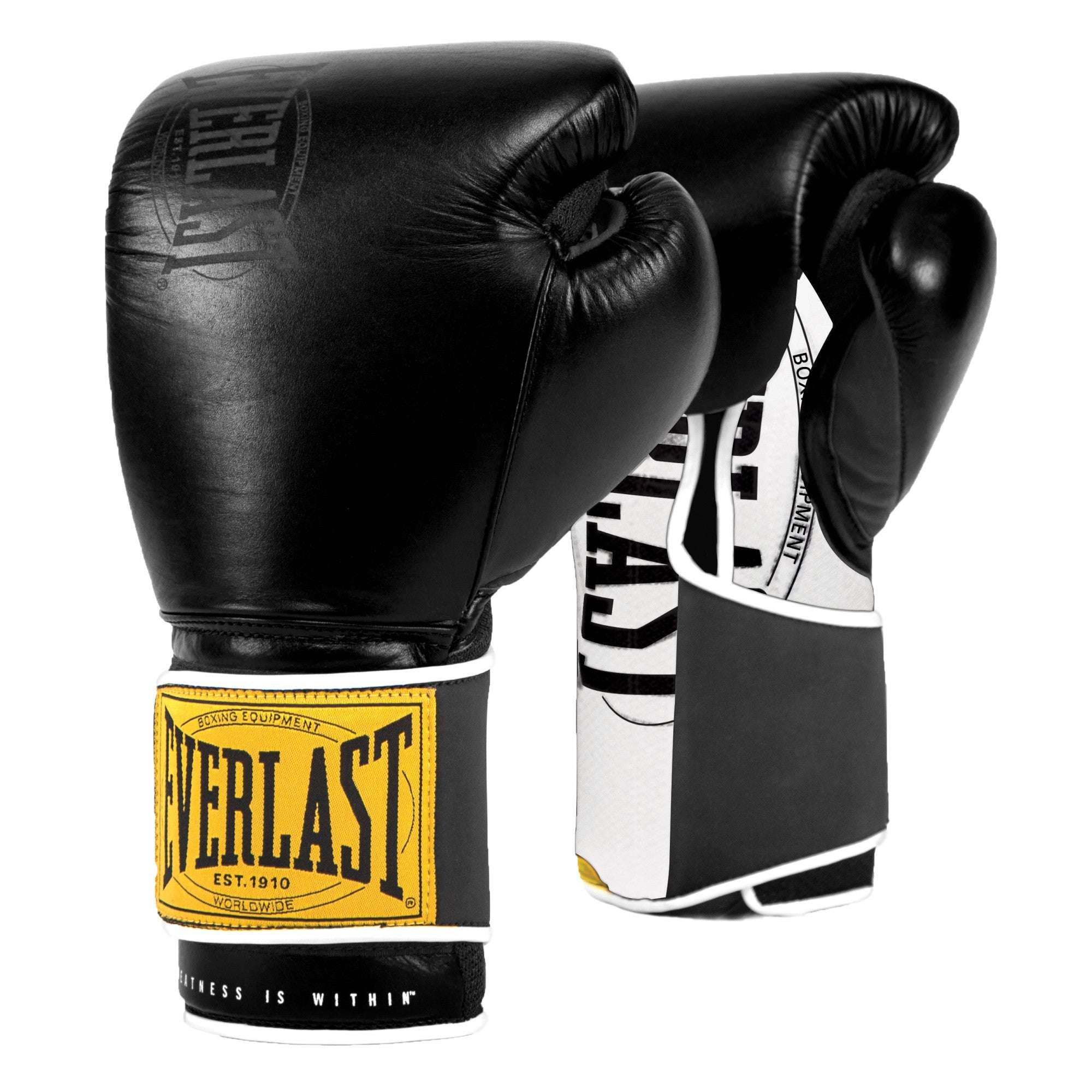 Everlast 1910 Classic Training Gloves – Multiple Colours – Warrior ...