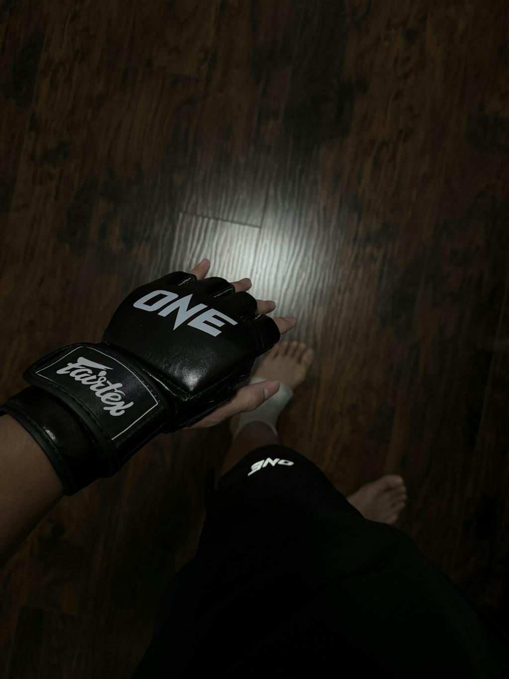 Fairtex ONE X FGV12 Grappling Gloves - Image 4