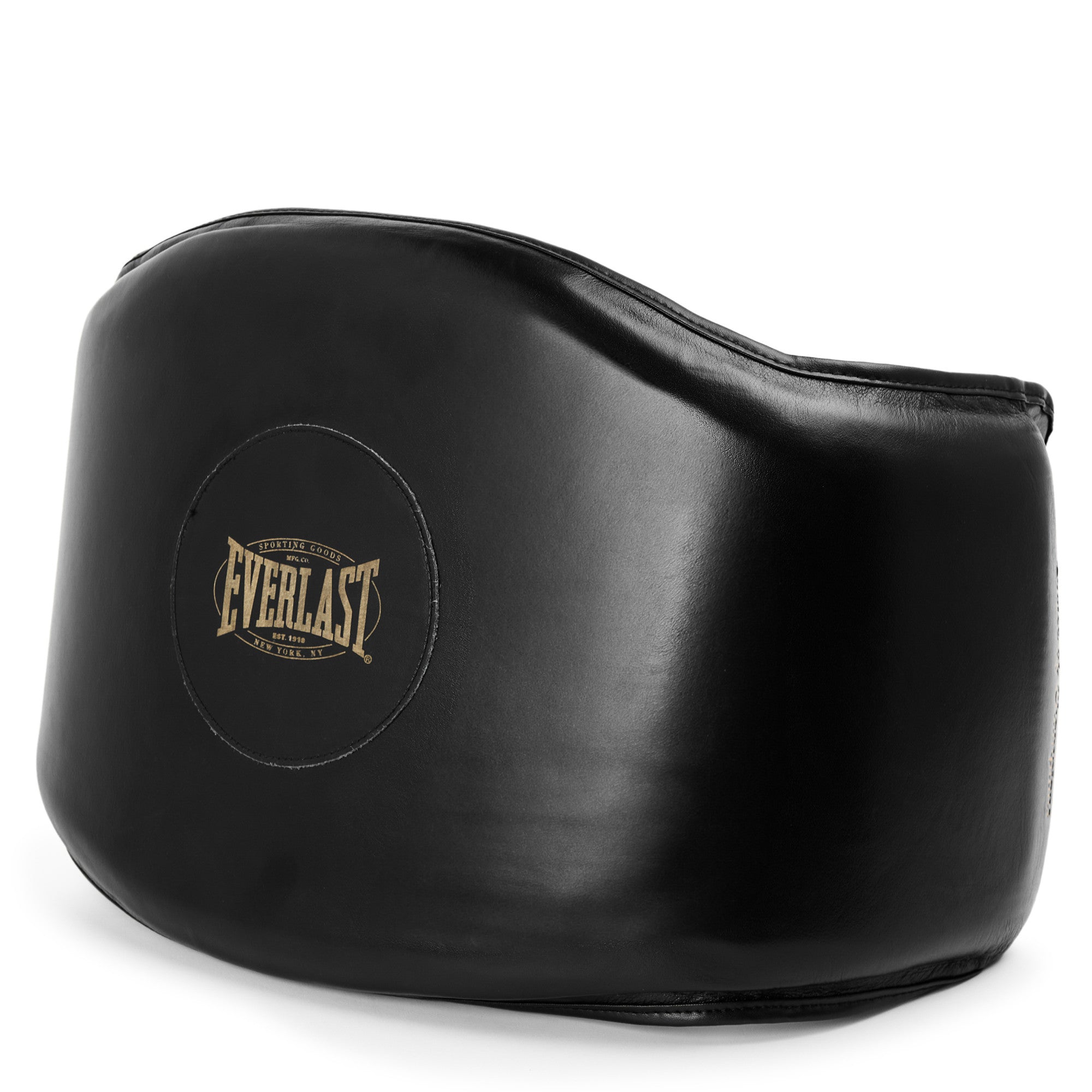 Everlast 1910 Pro Mini Body Protector